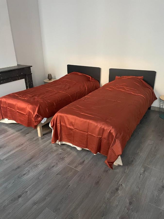 "Le Machao" - Cosy T3 - Centre Ville Mâcon Eksteriør bilde